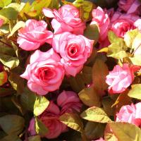 uploads/erp/collection/images/Home Garden/CongDing/XU0612165/img_b/XU0612165_img_b_2